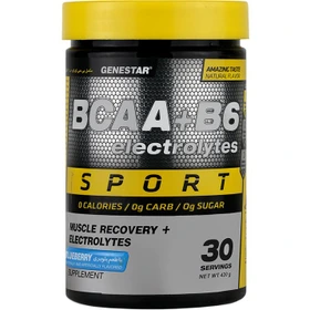 مکمل پودر بی سی ای ای+ب6+الکترولیت 420 گرمی ژن استارBCAA+B6+ELECTROLYTES GENESTAR - داروخانه آنلاین اصفهان دارو | ارسال رایگان | تحویل فوری نمای ۲