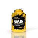 مکمل گین ژن استار3000گرم GAIN 3000G GENESTAR - تصویر 2
